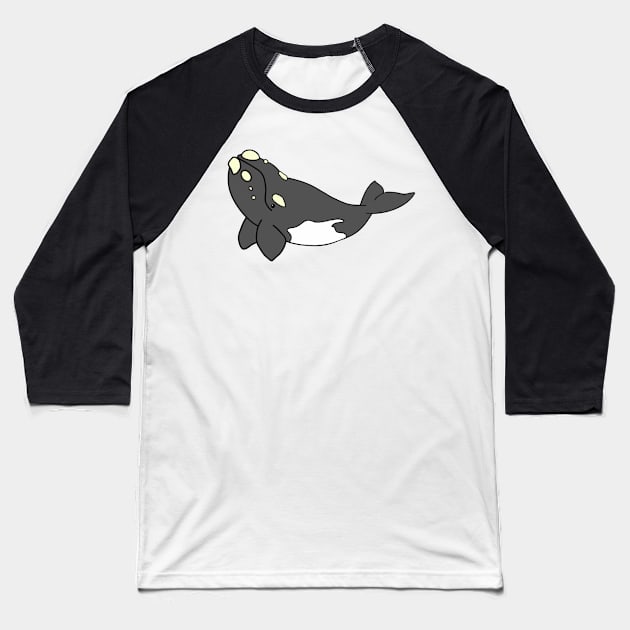 Cartoon Southern Right Whale Baseball T-Shirt by Marina Rehder